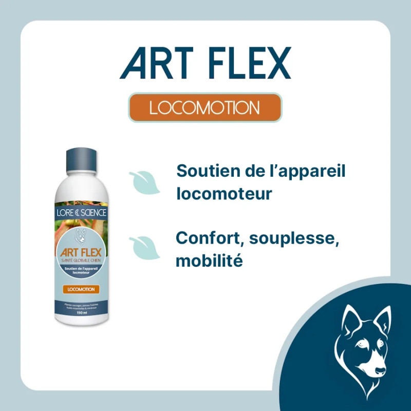 Art Flex Dog - Dog cartilage and tendons - Lore & Science